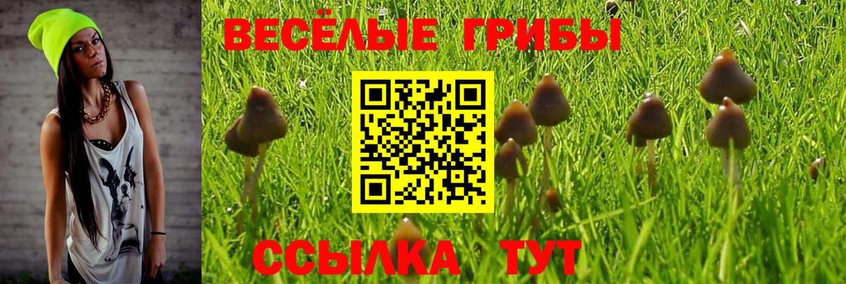 Псилоцибиновые грибы прущие грибы Михайловск